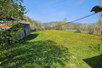 Teren de 3000 mp, în Dăești - 3