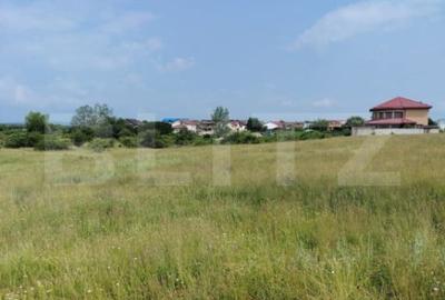 Teren de 1900 mp, în Priseaca