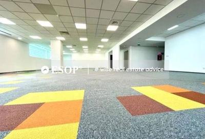 Spațiu comercial, de 258 mp, în Romană - 7