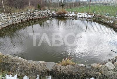 Casa singur in curte cu teren liber 2667 mp 6 camere 4 bai Daia - 1