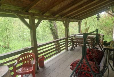 Casă cu 4 camere cu Teren 6000 Mp în Bezdead - 29