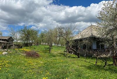 Teren intravilan de 4872 mp, în Antoceni - 4