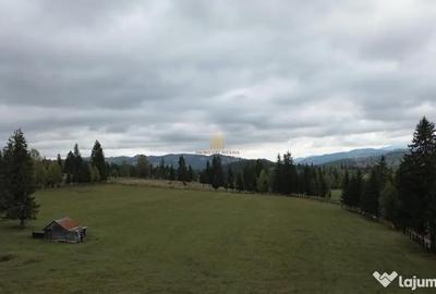 Teren de 16813 mp, în Fundu Moldovei - 13
