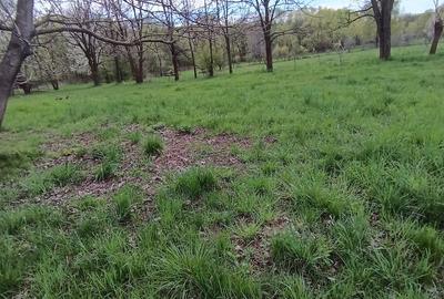Teren de 5766 mp, în Lerești - 5