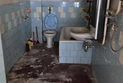 Casă cu 3 camere cu Teren 1770 Mp în Central - 4