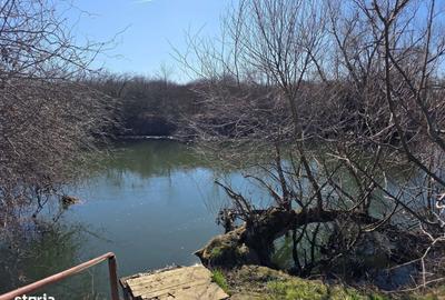 Casă cu 3 camere cu Teren 680 Mp în Podgoria - 17