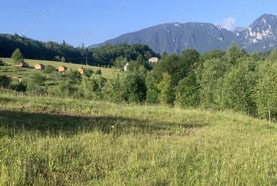 Teren de 4069 mp, în Poiana Mărului - 10