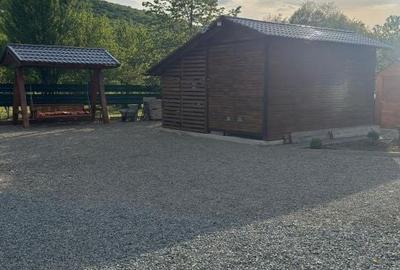 Teren de 1350 mp, în Cetate - 8