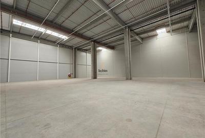 Spatiu Industrial - 1800 mp - Logistica - Productie - Depozitare - Distributie - 15