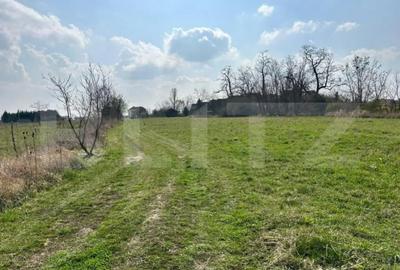 Teren de 900 mp, în Lucian Blaga - 2