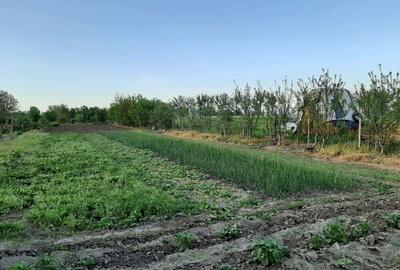 Teren de 4000 mp, în Măgureni - 6