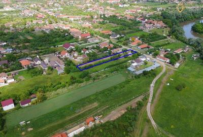 Teren intravilan de vanzare in Mandruloc - 11