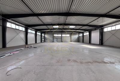 Hale industriale noi | Sanandrei | A1 - 1