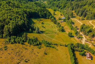 Teren extravilan de 20000 mp, în Dălghiu - 12