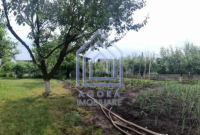 Casă cu 4 camere cu Teren 1600 Mp în Moara - 5