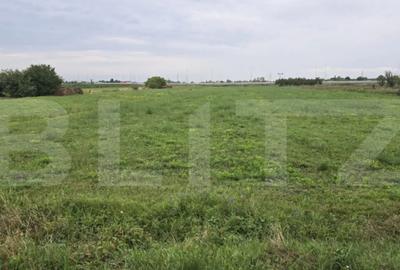 Teren de 11983 mp, în Periferie - 2