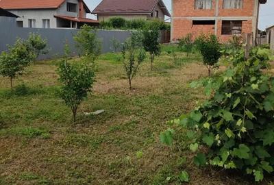 Casa cu etaj in Salonta - 3