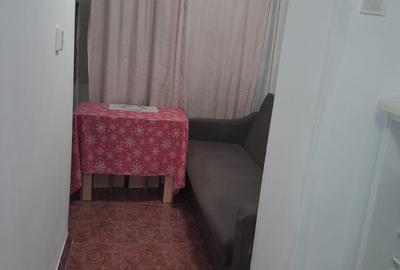 Garsonieră decomandată în Valea Rosie - 4