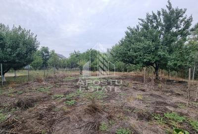 Casă cu 3 camere cu Teren 1800 Mp în Covaci - 12