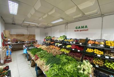 Spațiu comercial, de 145 mp, în Craiovița Nouă - 1