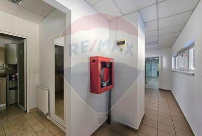 Spațiu industrial, de 5,000 mp, în Gară - 17