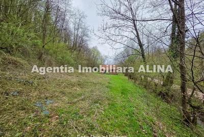 Teren de 9500 mp, în Nojag - 7
