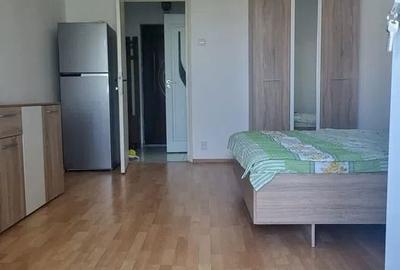 Garsonieră în Costin Georgian - 7