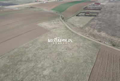 Teren Construcții intravilan de 1200 mp, în Bod - 7