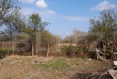 Teren 1160 mp + casa batraneasca, zona Cosoveni - 1