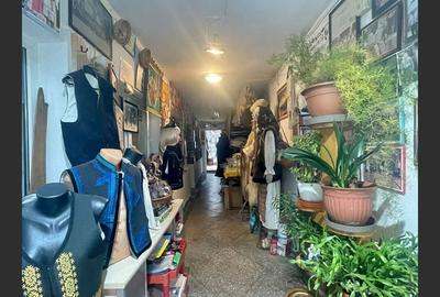 Casa cu garaj in Calnic, 231 mp construiti - 11