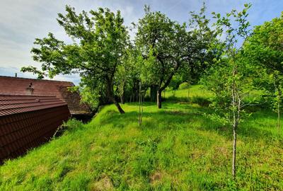 Vind vila in satul ROD- Pe drumul TRANSALPINA - 4