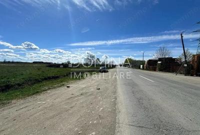 Inchiriere teren intravilan situat in Targu Jiu - strada Narciselor - 2