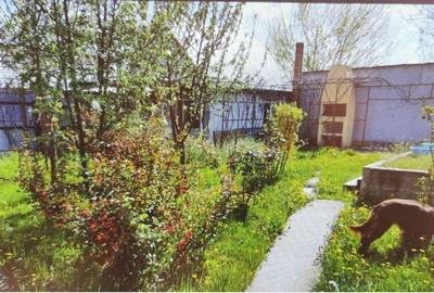 Spațiu comercial, în Vidra