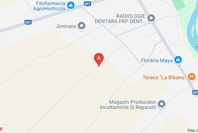 Casă individuală cu 5 camere cu Canalizare în Malu Spart - 12