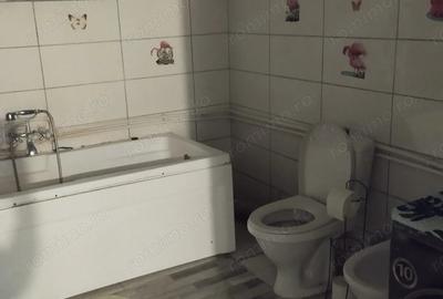Casă cu 4 camere cu Teren 740 Mp în Pișchia - 2