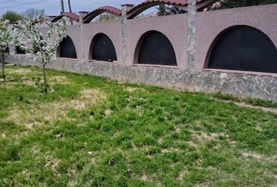 Casă cu Teren 1600 Mp în Serdanu - 3
