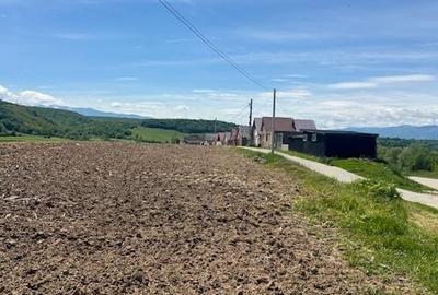 Teren extravilan in supr. de 45200 pentru constructii case sau hale industriale - 2