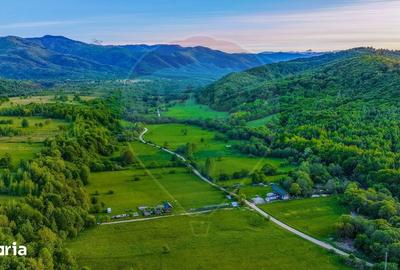 Teren de 3352 mp, în Șinca - 8