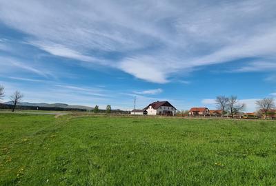 Teren agricol extravilan de 2100 mp, în Reci