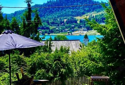 Casă cu 3 camere cu Teren 1800 Mp în Colibița - 2