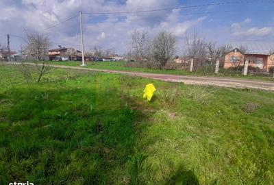 Spațiu comercial, în Buturugeni - 18