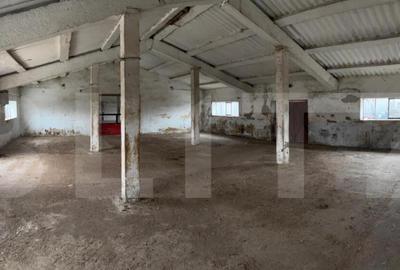 Spațiu comercial, de 740 mp, în Iratoșu - 4