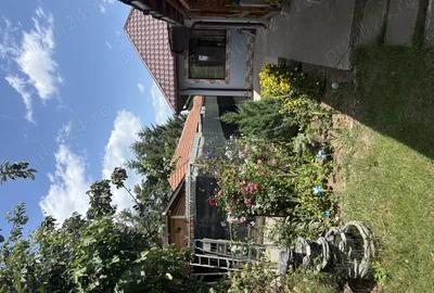 Proprietar - Vand casa Anda, teren de 800 mp, 4 camere, 2 bai, bucatarie Proprietar - Vand casa Anda, teren de 800 mp, 4 camere, 2 bai, bucatarie - 4