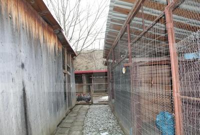 Casă cu Teren 1337 Mp în Belin - 2