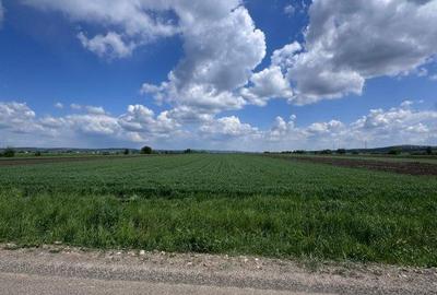 Teren de 10000 mp, în Central - 3