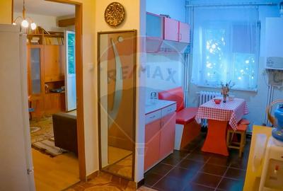 Apartament cu 2 camere de inchiriat in Deva - 11