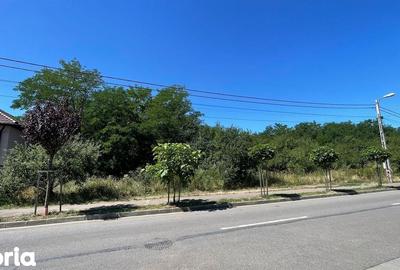 Teren de 3054 mp, în Oncea - 1