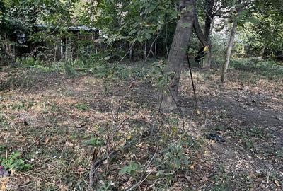 Casă cu 4 camere în Central - 2