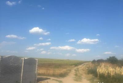 Teren de 500 mp, în Malu Mare - 2