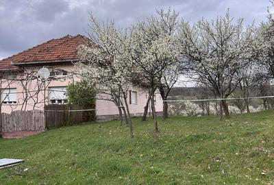 Spațiu comercial, în Boș - 6